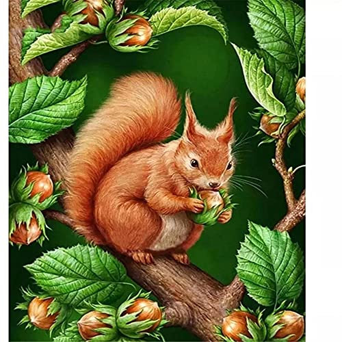 YINGXIN134 Puzzle da 1000 Pezzi per Adulti Bambini | Simpatico Scoiattolo l Toys Puzzle Grande | Regali Giochi per la Famiglia Decorazione per la casa -1000 Pezzi (70x50 cm)