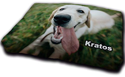 LolaPix Hundebett. Hundekörbchen. Personalisiert mit Name/Foto. Bett für große/Mittlere/Kleine Hunde. Waschbare Hundematratze und Abnehmbarer Bezug. SUPER