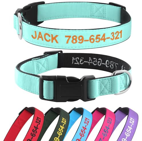 Hundehalsband Personalisiert mit Namen und Telefonnummer Bestickt für XS Kleine Mittlere Große Hunde(Eierschalenblau)