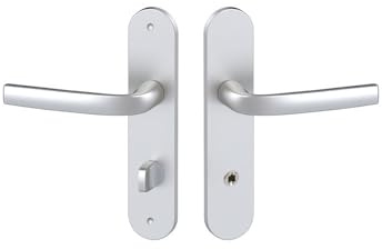 VACHETTE Logo-Set auf kleiner Platte EA165 mm, eloxiert, silberfarben, BDCC 1360/6339
