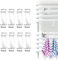 8 PCS Round Radiator Hooks,Towel Radiator Brackets Hooks,Radiator Towel Holder Hooks,Towel Hooks for Radiators,for All Standard Radiators, Removable, Over Door, Kitchen, Bathroom, Transparent