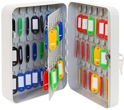 Arregui PLL60 Armario de Llaves con Ganchos Fijos | 60 Llaves | Caja de Seguridad de Acero para Llaves | con Llaveros Incluidos | Fácil Instalación en Pared | 25 x 18 x 8 cm | Gris