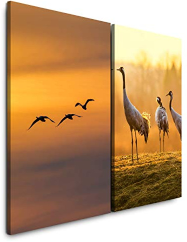 Paul Sinus Art Leinwandbilder 2 Stück je 40x60cm Wohnzimmer Kraniche Dämmerung