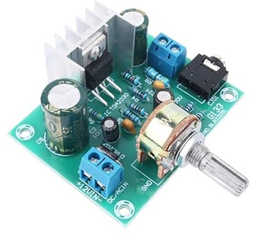 HOOCI 2030A Mono 15W Digital Audio Amplifier Board Input 12V