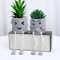 Duscdesp Artificial Potted Plant Set of 2 Cute Fake Succulent Plant with Hanging Leg artificial plants indoor Succulents Plants Decor for Home Office Bookshelf Bathroom desk decor(Funny face)