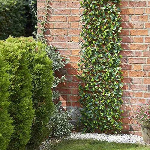 Smart Garden Expanding Trellis Lemon Leaf - 1.8m x 0.9m