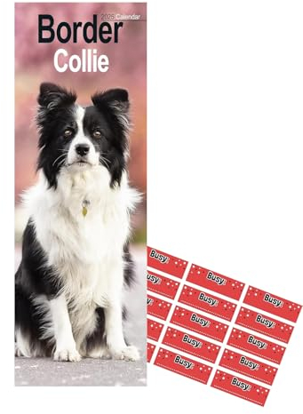 Border Collie Slim Kalender 2026 | Hunderasse Slimline Kalender | 12 Monate | mit Organisationsaufklebern