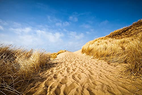 A.S. Création Fototapete Strand Braun | Landschaft Blau Sylt Beach 4.00 m x 2.67 m Braun Blau Weiß