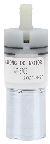 Pompa di irrigazione, pompa a barile di pioggia, mini pompa dell'acqua in acciaio inossidabile anticorrosione micro portatile per uso domestico DC 12.0V