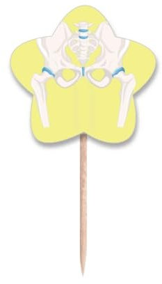 Hip Becken, Glücks-Illustration, Zahnstocher, Flaggen, Stern-Etikett, Cupcake-Picks