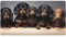 Tappetino mouse gioco XXL 1000 x 600 x 3mm Grande tappetino per mouse da gioco esteso con bordi cuciti, base in gomma impermeabile antiscivolo per tastiera ufficio, casa, gaming PC bassotto nero Z4845