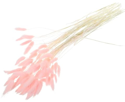 Alipis Deko-Set: 120 Stück Natürlicher Getrockneter Schweifgras-blumenstrauß Für Zuhause Natürlich Leicht