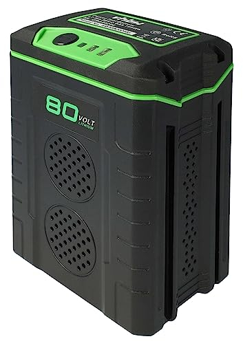 vhbw Batterie Remplacement pour Greenworks 2901307, 80V Max, 2901302, GBA80200, G80B4, 2902407, G80B2, GBA80250, 2901207 pour (2000mAh, 80V, Li-ION)