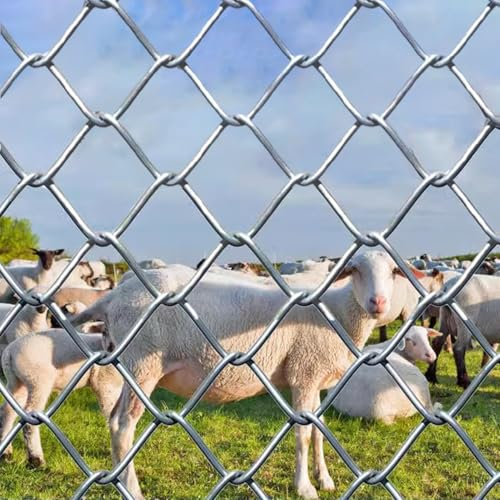 HWLL Maschendrahtzaun Farmzaun - Hochleistungsdrahtgeflecht aus Verzinktem Stahl, 1,2/1,5/1,8/2,0 M Hoher Zaun für Ziegen, Hirsche Und Schweine, Tierschutzzaun für Weiden/Höfe(H-1.2m/3.9ft)