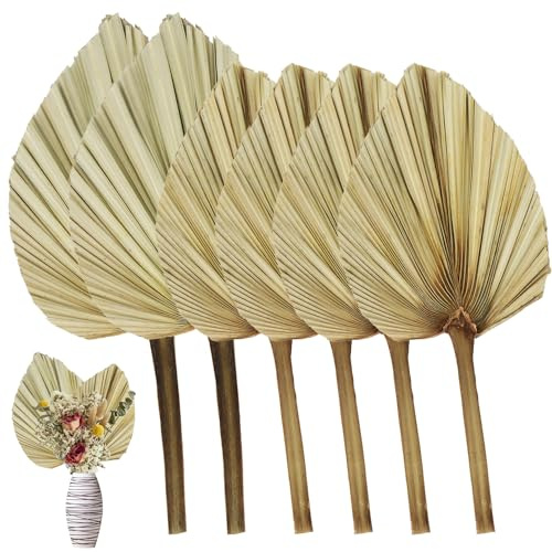 RUENXG Foglie di palma essiccate naturalmente, 6 pezzi, per decorazione boho, bouquet di lance di palma secche, per matrimoni, casa, cucina, vasi, composizioni di tavoli, decorazioni per anniversari
