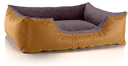 BedDog Hundebett Teddy, Hundesofa aus Cordura und Microfaser-Velours, waschbares Hundebett mit Rand, Hundekissen Vier-eckig, für drinnen, draußen, Größe L, Gold-braun