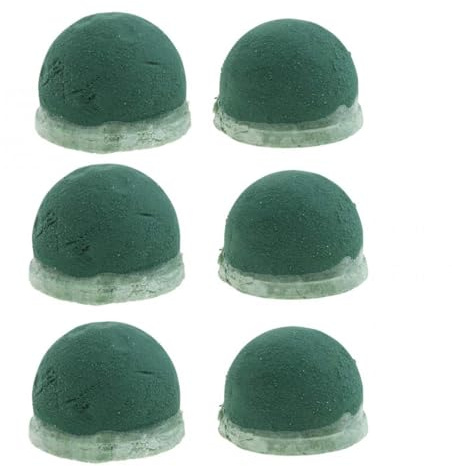 OASIS® ECObase® Urnen Deco - 5,5 x 6,5cm Ø - 6 St.