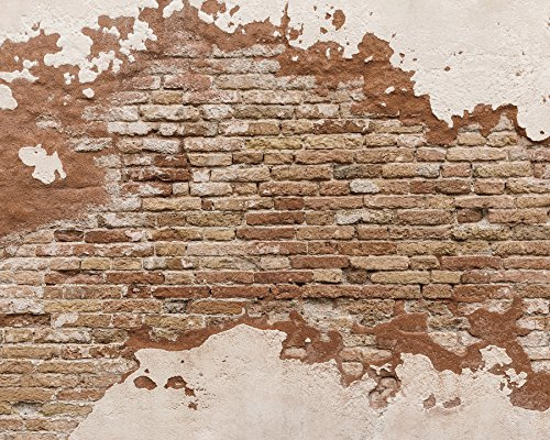 Wall Rogues WR50508 Papier peint mural brique vieilli Orange 3 x 2,4 m
