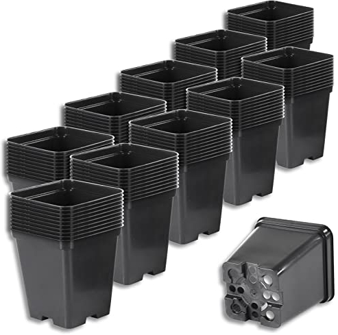 Wohnkult Pflanztopf Blumentopf Blumenkübel schwarz, klein, quadratisch, 3 zur Auswahl (0,5 l Volumen | 100 Stück)