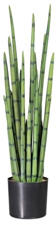 Pflanzen Kölle Kunstpflanze Sansevieria cylindrica, Höhe ca. 100 cm