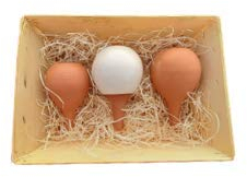 Coffret Cadeau 3 Ollas à Planter en Terre Cuite – Arrosage Autonome Écologique pour Plantes en Pot – Idée Cadeau Jardinage Originale - Fabrication française