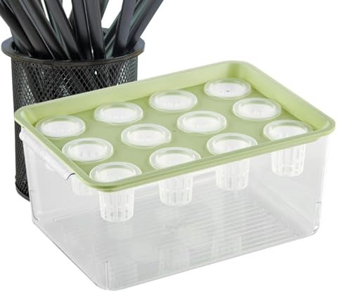 Betta Aquarium, Aquaponic Pflanzer und Aquarium,Desktop -Aquarium - Betta Fischtankpflanzen Stecklinge Propagationsstation für Desktop -Dekorationen