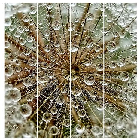 Bilderwelten Schiebegardinen Pusteblume im Herbst - Deckenhalterung, 4X 250 x 60cm