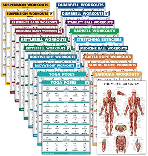 20 Stück – Übungsposter-Set: Hantel, Aufhängung, Kampfseil, Dehnung, Körpergewicht, Langhantel, Yoga, Gymnastikball, Muskulatur, Kugelhantel, Widerstandsbänder und mehr (laminiert, 45,7 x 61 cm)