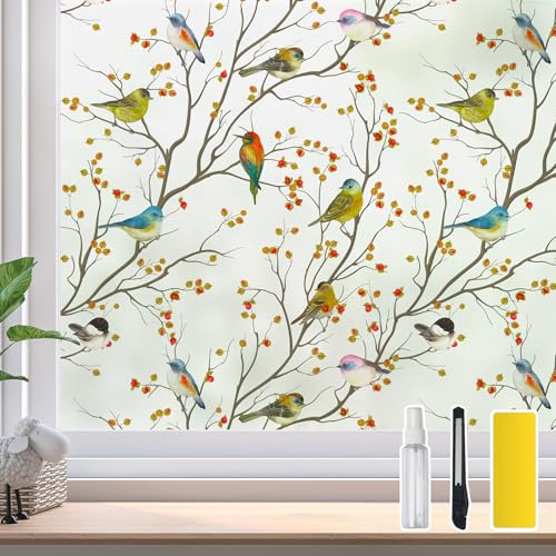 DKTIE Fenstersichtschutzfolie mit Installationswerkzeugen, Buntglas, Blickdicht, Nicht klebend, mattiert, Vogelabdeckungen, abnehmbar, für Badezimmer, Duschtür, mattiert