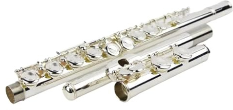 Professionelle Querflöte Professionelle Kupfernickel-C-Tonart 16-Loch-Flöte Versilberte Musikinstrumente Mit Koffer Und Zubehör