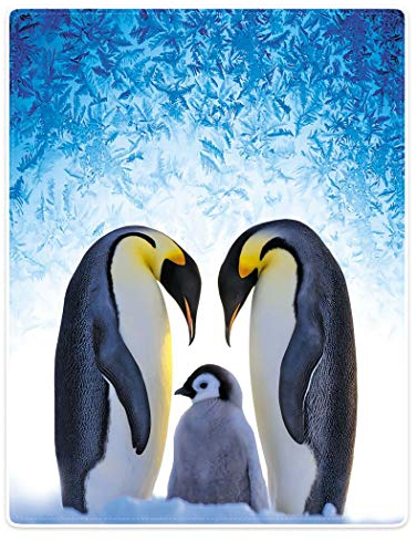 Zomer Kuscheldecke Pinguin Motiv Flauschige Decke Mikrofaser Fleecedecke Weiche & Warme Sofadecke/Couchdecke 150x200 cm