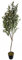Leaf Design UK Black Plastic Pot, 180cm Artificial Natural Look Olive Tree with Wooden Trunk