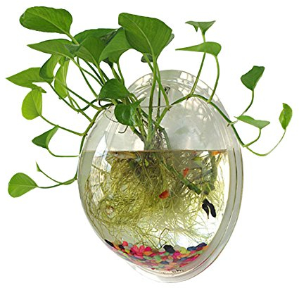 Sweetsea Wandmontiertes Fischglas, Betta-Aquarium, Wanddekoration, Pflanze, Fischblase – transparent (mittel)