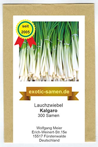 Lauchzwiebel - Winterzwiebel - Kalgaro - winterhart - 300 Samen