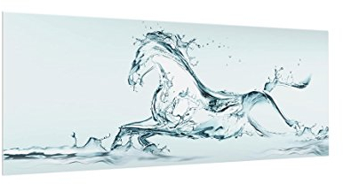 Bilderwelten Glass Splashback - Glassy Ross - Panoramic, Backsplash Cooker Splashback Protector Panel Decorative Splashback Panel, Dimension HxW: 40cm x 100cm
