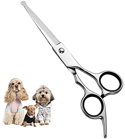 Ciseaux de toilettage professionnels avec pointe ronde en acier inoxydable pour chiens et chats - parfaits pour le contour des yeux - 17 x 6,6 x 1,1 cm