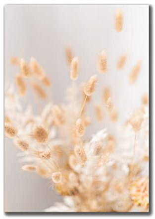 Leinwandbild Dry Flowers I 70 x 100 cm | Bild auf Leinwand im Hochformat in sanften monochromen Farben | Pampas Gras Bouquet Natur Blumen Trockenblumen | Wohnzimmer Schlafzimmer Flur | Deko Home