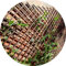 Willow Garden Trellis - Expandable Plant Support for Climbing and Long-Stemmed Plants (120x180cm)