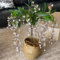 planta de jazmín - semillas decoración de balcones bonsái semillas flores plantas resistentes en macetas plantas jardín flores en macetas Clerodendrum wallichii planta jazmín real 250pcs