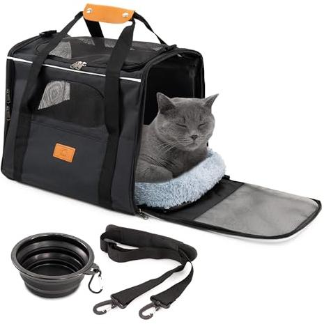 Cool Paws Pet Carrier Bag for Cats & Small Dogs - Lightweight, Breathable Pet Travel Bag with Mesh Sides, Reinforced Frame, Removable Mat & Shoulder Strap for Secure Transport