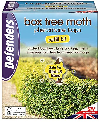Defenders Box Tree Moth Pheromone Trap Refill Kit Protect Box Tree Plants and Keep Them Evergreen and Free from Insect Damage