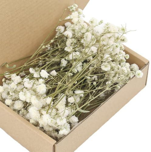 UIEXAY 100 Pezzi Gypsophila Essiccata Bianchi Fiori Secchi per Decorazioni Mini Fiori Bianchi di Gypsophila Secchi in Vera Natura per l'artigianato Artistico di Resina, Nozze Decorazioni