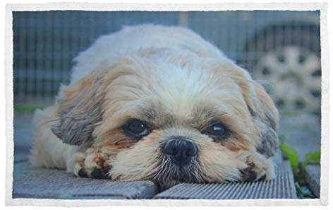 Hengpai Shih Tzu Hunde-Maulkorb Hunde Decken Warm Haustier Bett Abdeckung
