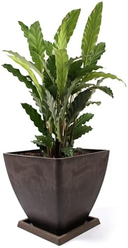 KOTARBAU® Blumentopf Pflanzgefäß groß aus recycelten Materialien 30x30x28cm mit Untersetzer 23x23x2 cm Braun