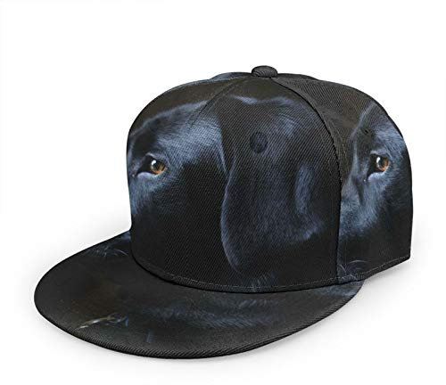 Oaieltj Unisex Baseballkappe Erwachsene Teens Verstellbare Snapback Flache Krempe Baseball Cap Cool Hip Hop Hat, Schwarzer Labrador Hund, One size