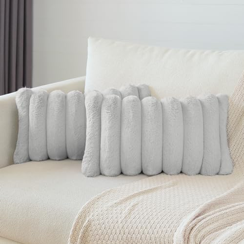 Soleebee 2er Set Plüsch Samt Kissenbezüge, Weiche Künstliche Pelz Kissenbezug Sofa Zierkissenbezüge Dekokissen Kissenhülle Set für Schlafzimmer Zuhause Couch Auto Dekor (30x50cm, Hellgrau)