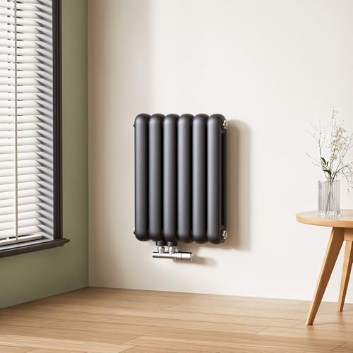 S'AFIELINA Design Heizkörper, Moderne Heizkörper, Vertikaler Designheizkörper, Wandheizkörper, Mittelanschluss und Seitenanschluss, Doppellagig, 573 W, Anthrazit (RAL7016), 55x44 cm