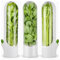 Reinscer Lot de 3 boîtes de rangement pour herbes aromatiques - Pour réfrigérateur - Pour la coriandre, le , les asperges