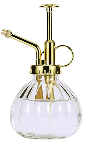 Eidoct Clear Glass Plant Mister Spray Bottle With Gold Top Pump - 6.5 Small Watering Can for Indoor Outdoor House Plants