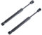 Frankberg 2x Gasfeder Dämpfer Einlegeboden Kompatibel mit 5er Touring E61 Alle Motoren Kombi 2004-2010 Replace# 51477148826